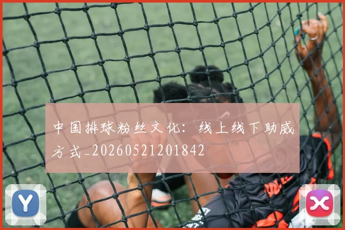 中国排球粉丝文化：线上线下助威方式_20260521201842