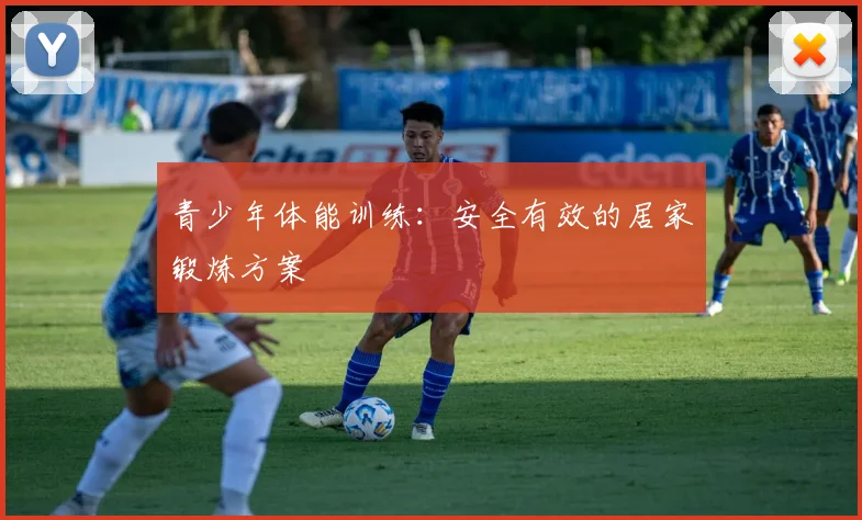 青少年体能训练：安全有效的居家锻炼方案