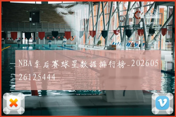 NBA季后赛球星数据排行榜_20260526125444